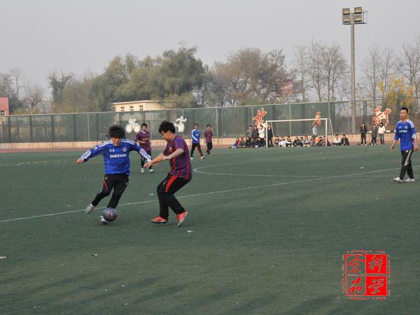 4.bmp